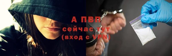 spice Козельск