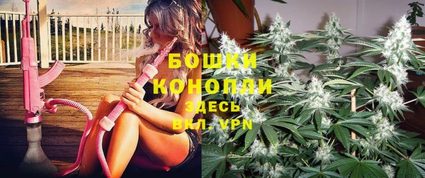 spice Козельск