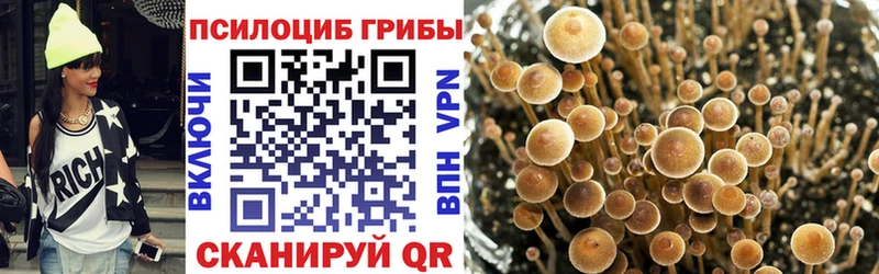 Галлюциногенные грибы мухоморы  Купить закладки  Закаменск 